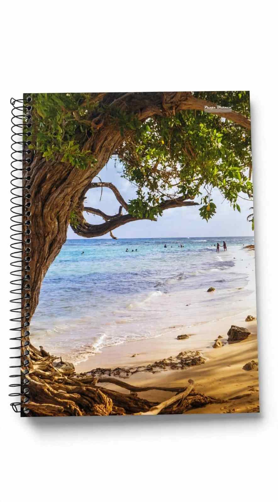 CADERNO 1X1 C.D. NEW